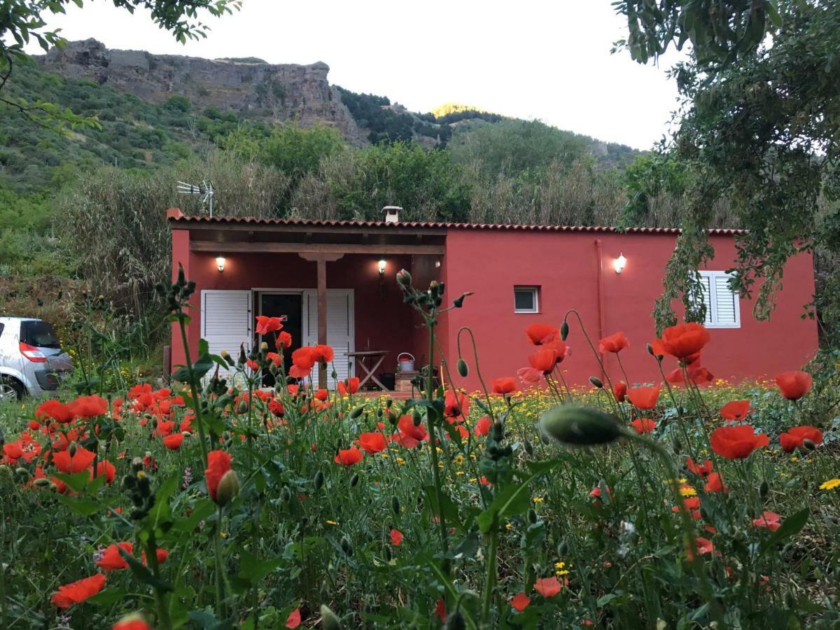 Villa Rafael Вега де Сан Матео Екстериор снимка